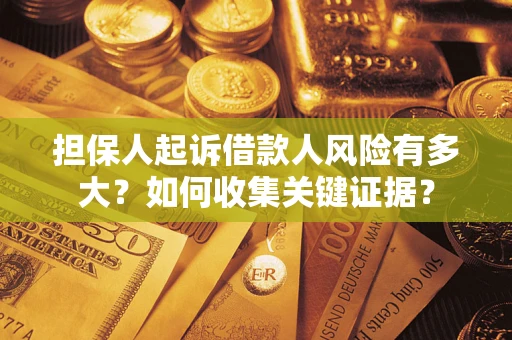 武汉担保人起诉借款人风险有多大？如何收集关键证据？