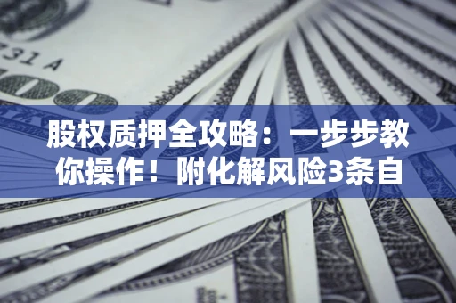 武汉股权质押全攻略：一步步教你操作！附化解风险3条自救法则