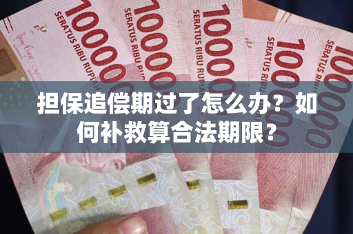 武汉担保追偿期过了怎么办？如何补救算合法期限？