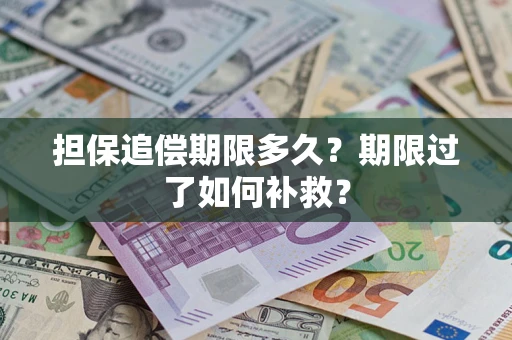 武汉担保追偿期限多久？期限过了如何补救？