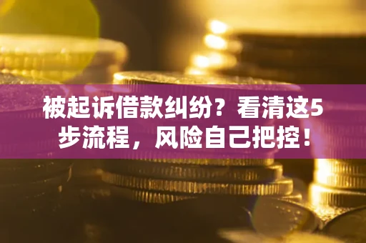 武汉被起诉借款纠纷？看清这5步流程，风险自己把控！