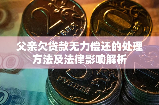 武汉父亲欠贷款无力偿还的处理方法及法律影响解析